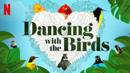 Dancing with the Birds